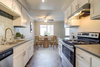 Stainless steel sink with gooseneck faucet